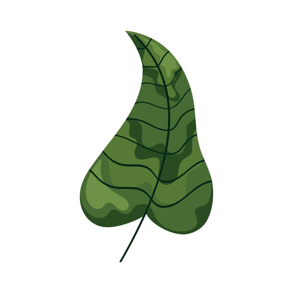 ecología hoja planta follaje vector