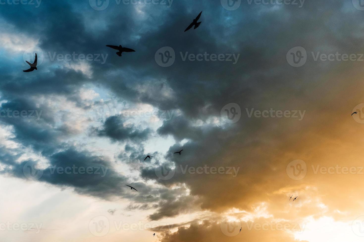 Bright colorful sunset, yellow blue and red tones with birds. photo