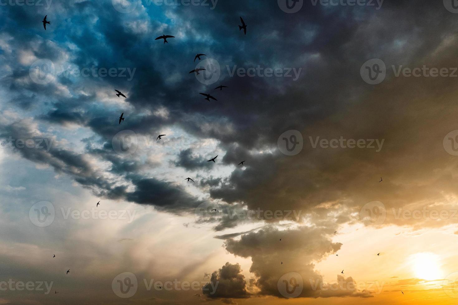 Bright colorful sunset, yellow blue and red tones with birds. photo