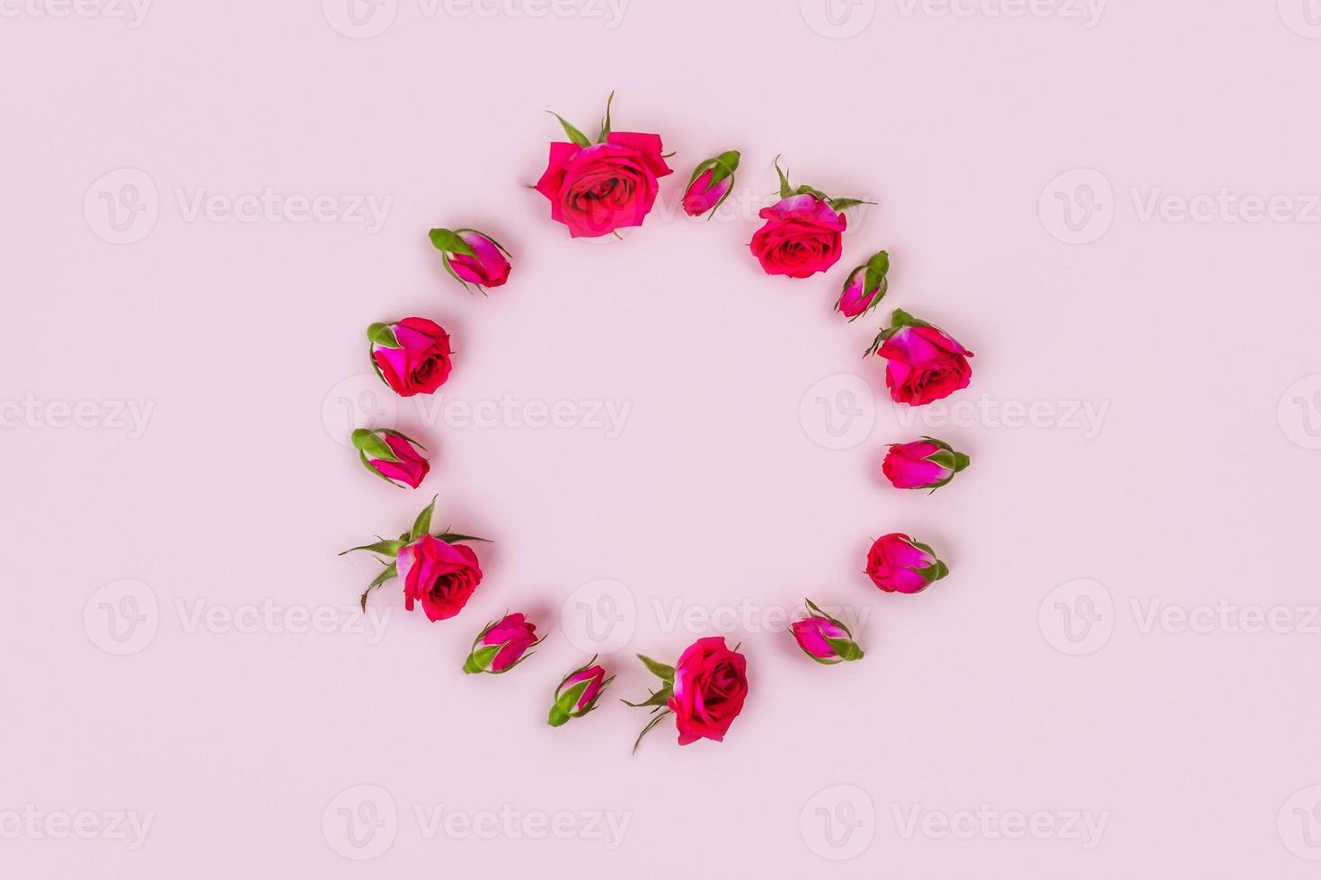 Beautiful roses on pink background, top view. photo