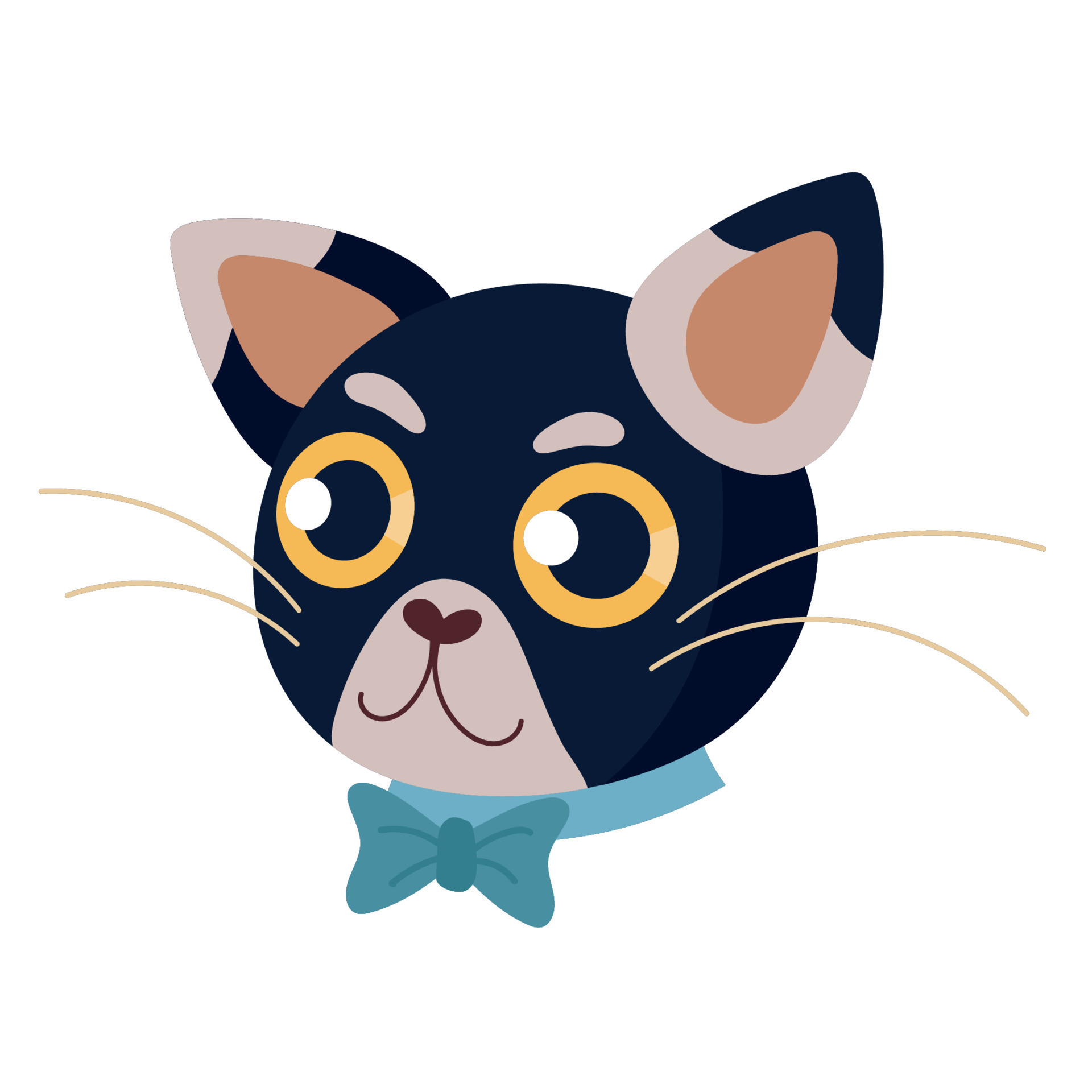 necktie cat