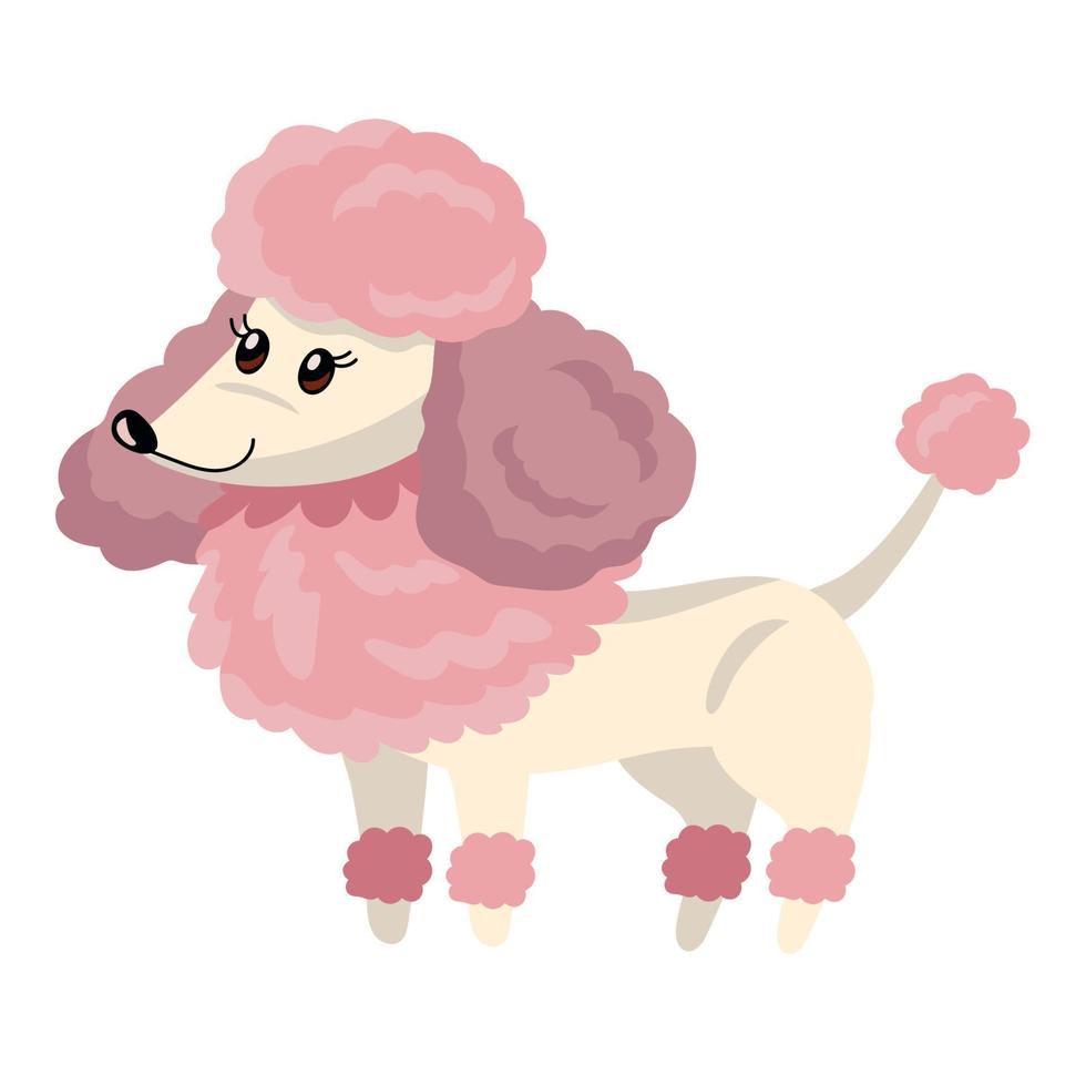 cute dog french poodle vector