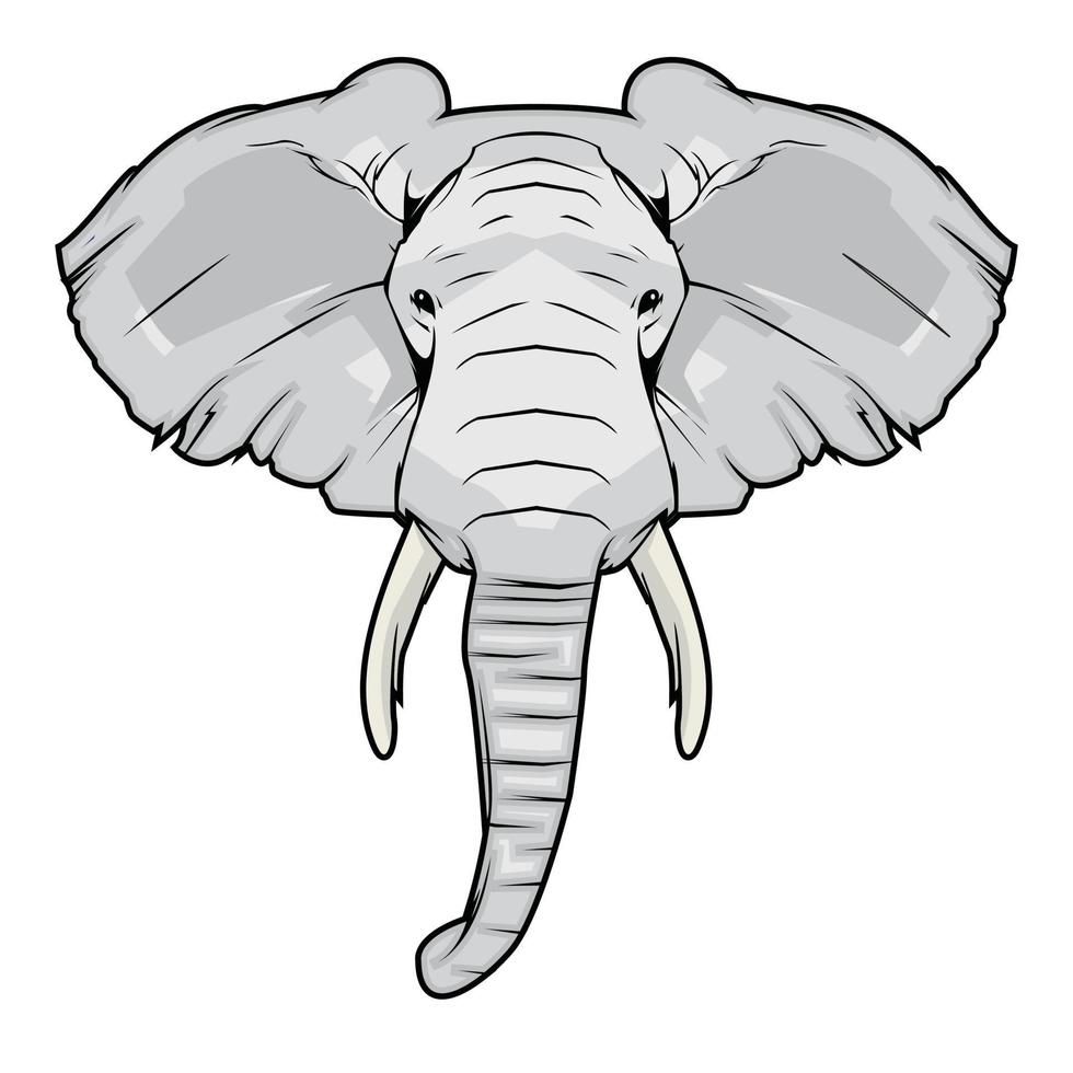 Elephant Head Illustration vector