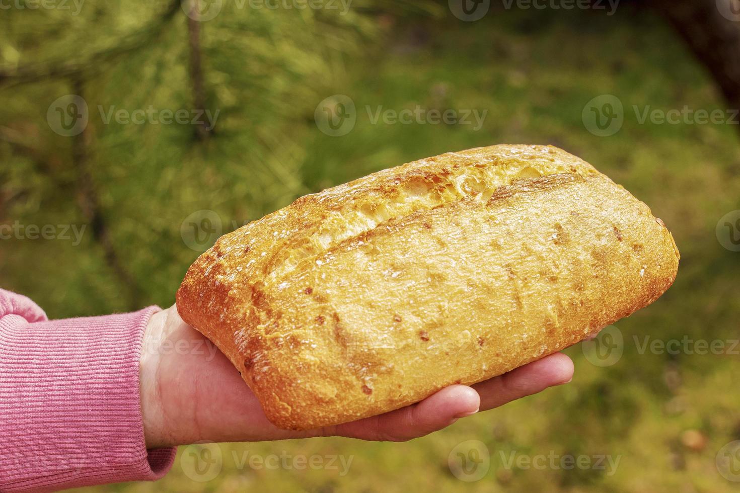 Bread in the hand of a middle-aged woman. The concept of the world food crisis associated with the war in Ukraine photo