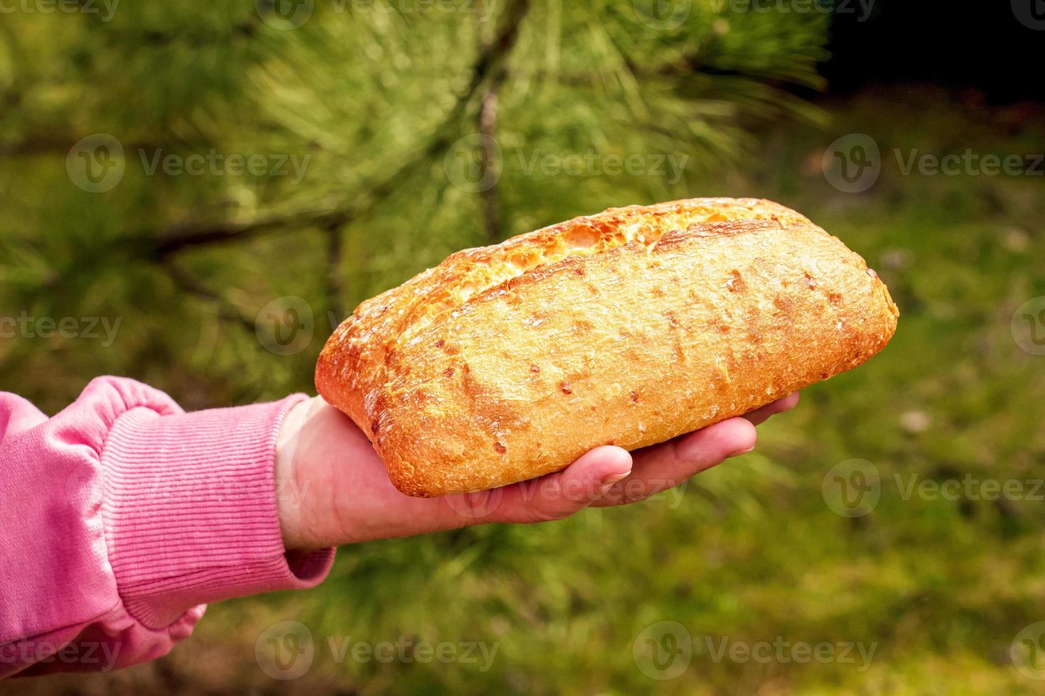 Bread in the hand of a middle-aged woman. The concept of the world food crisis associated with the war in Ukraine photo