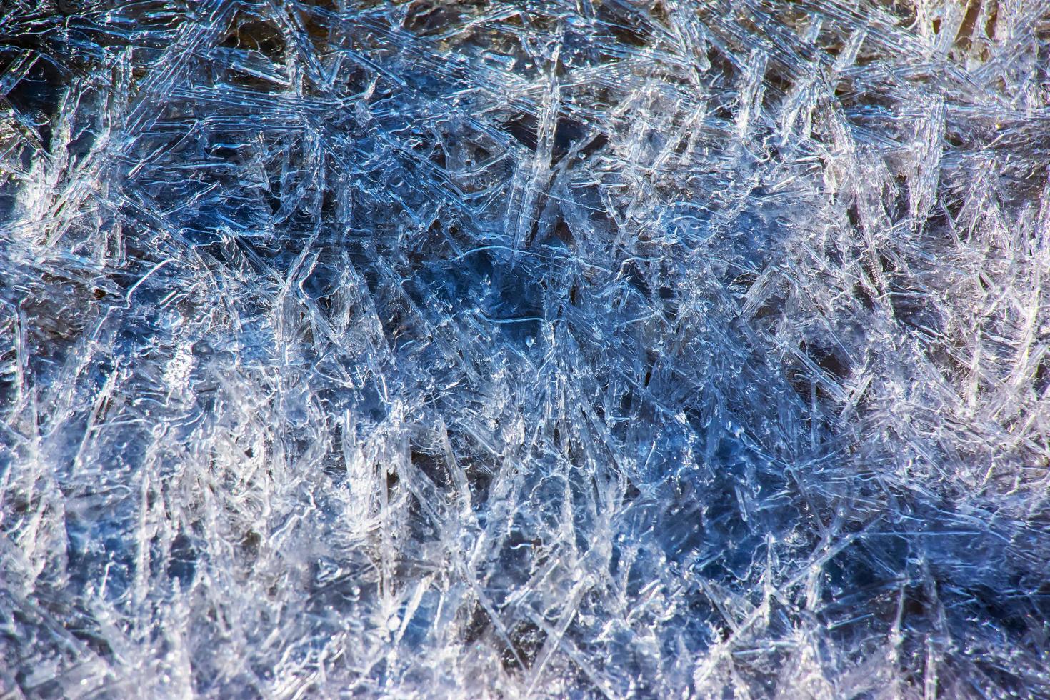The surface of the river with algae covered with ice. Ice texture. Winter background. photo