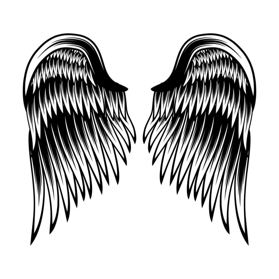 Wings isolated vector design