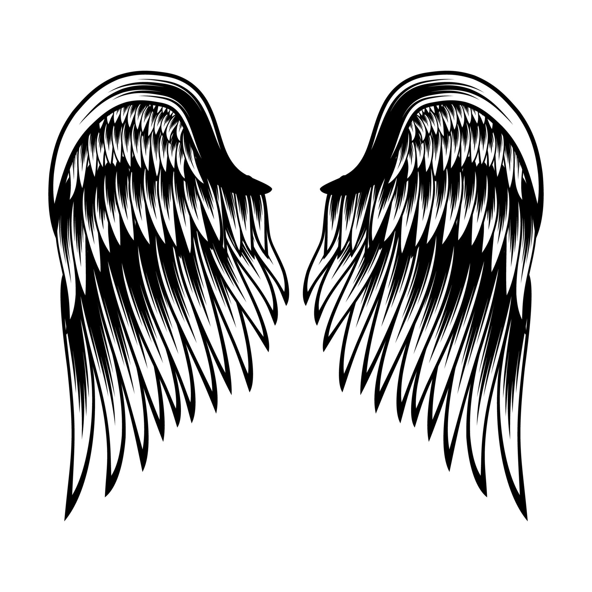 Wings isolated vector design 14536314 Vector Art at Vecteezy