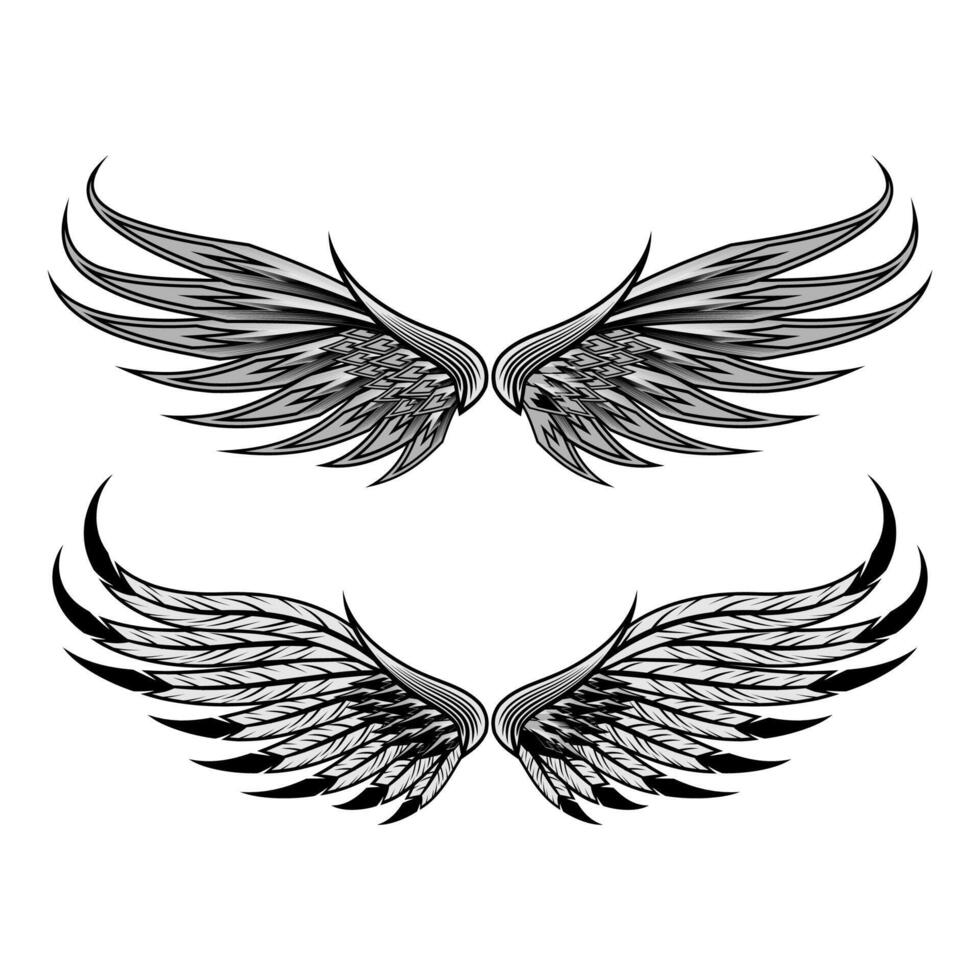 Wings vector illustration template design