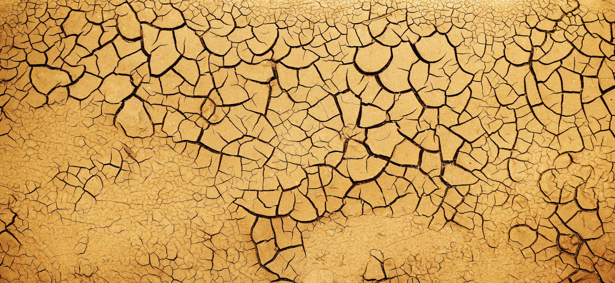 Close up weathered texture of arid cracked ground photo