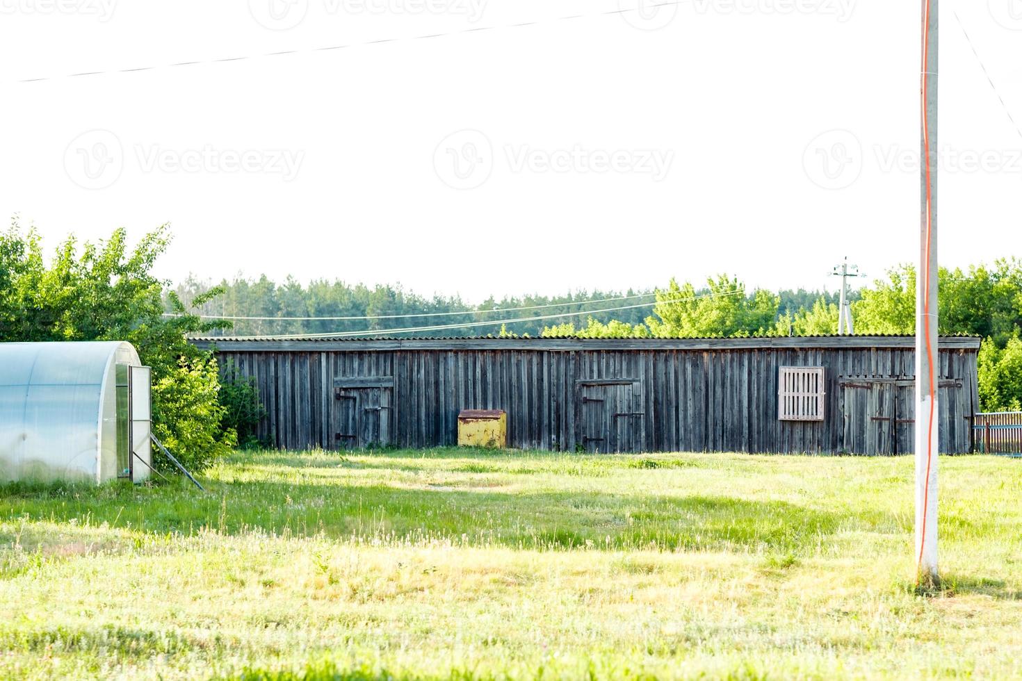 abandoned barn in summer, copy space photo