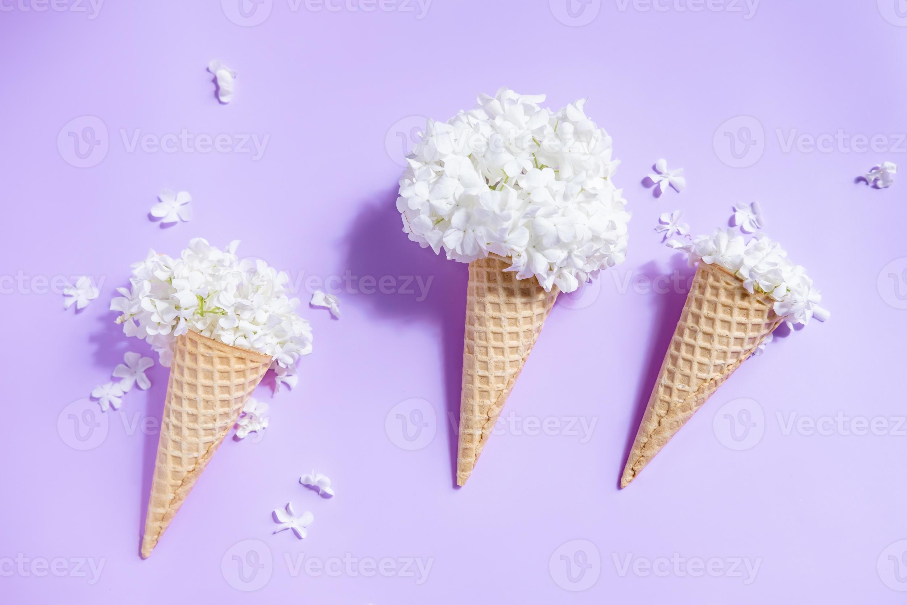 Waffle cone with hydrangea on purple background. Delicate still life