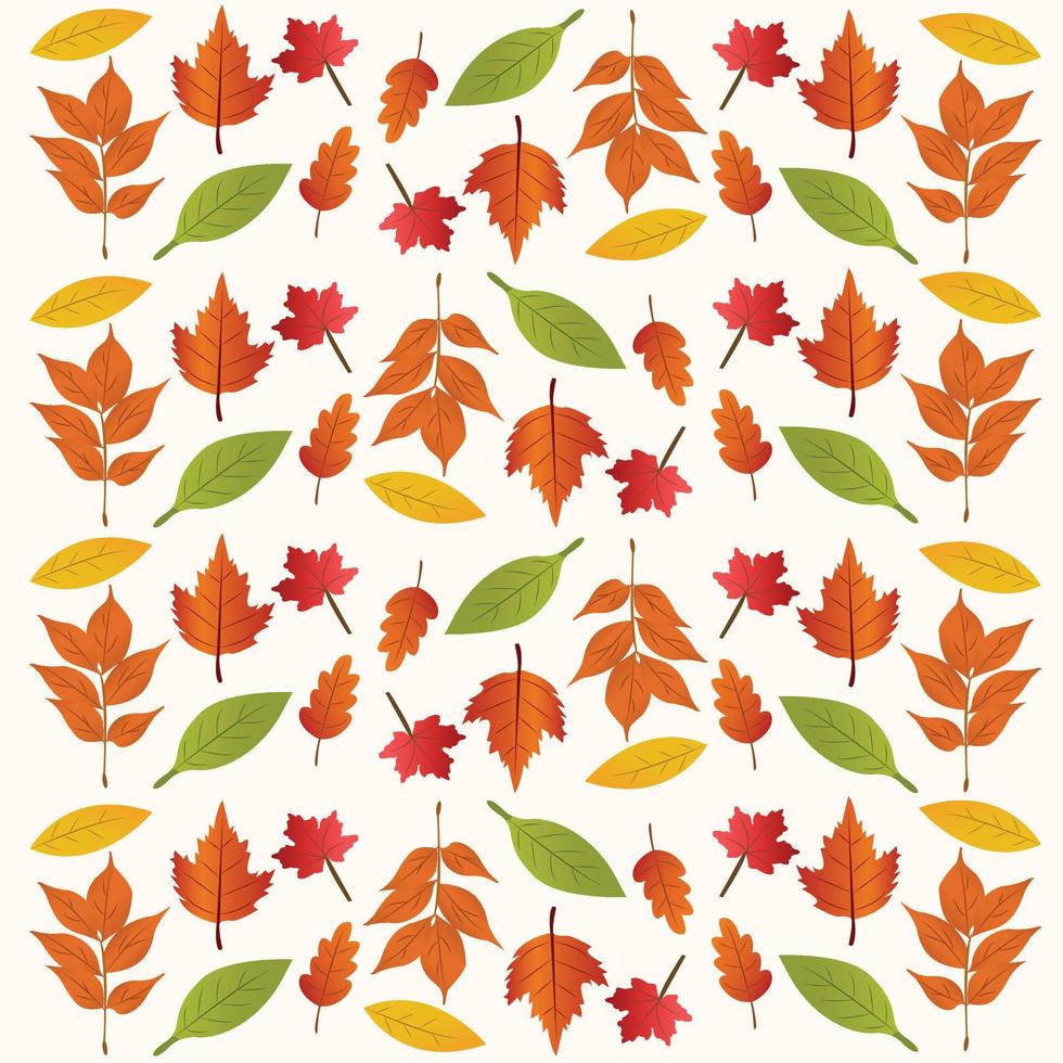 Fall leaves pattern vector