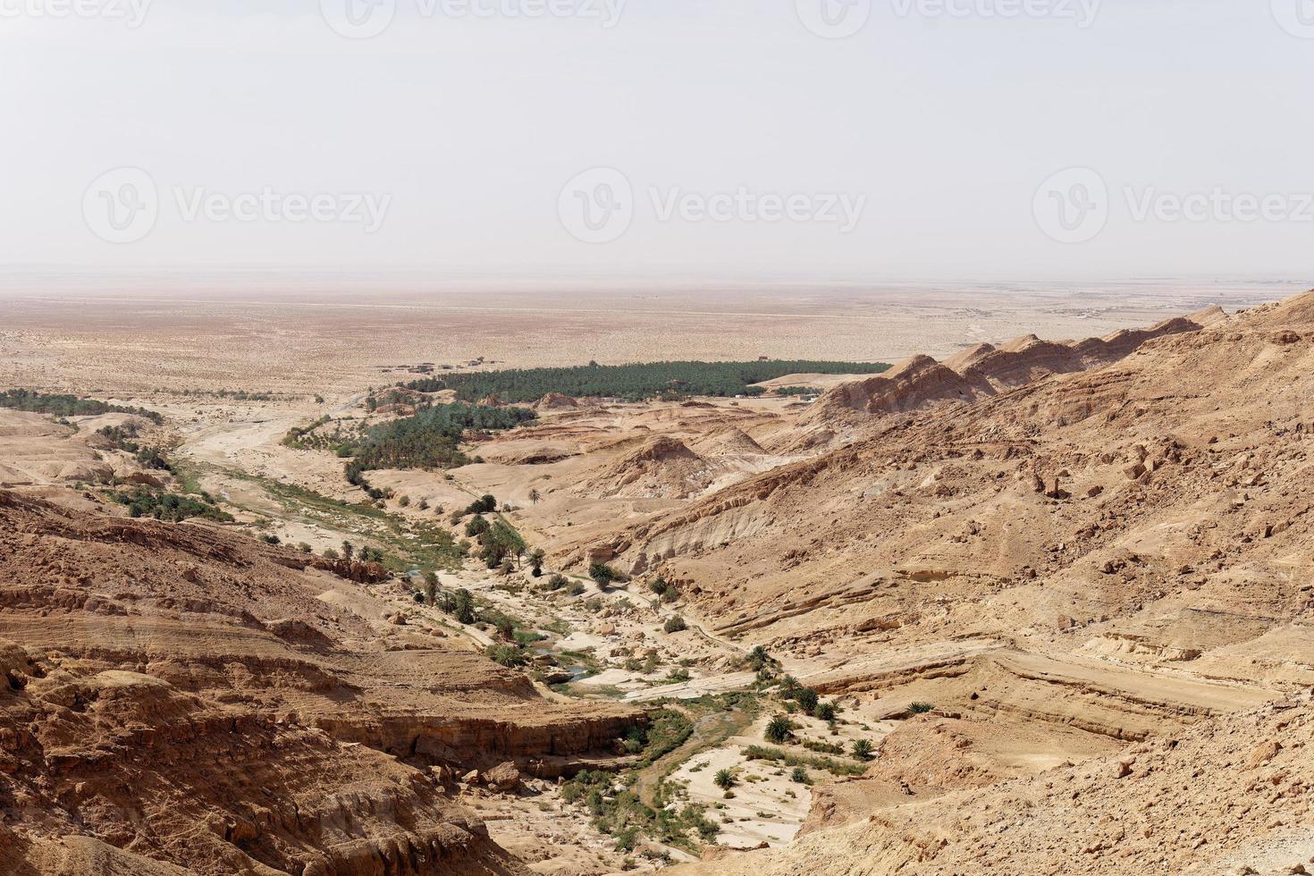 View of Chebika Oasis in Tunisia with palm trees and mountain in the background. Travel destination. Holidays and relaxing in the desert. Tourism and adventurous life. photo