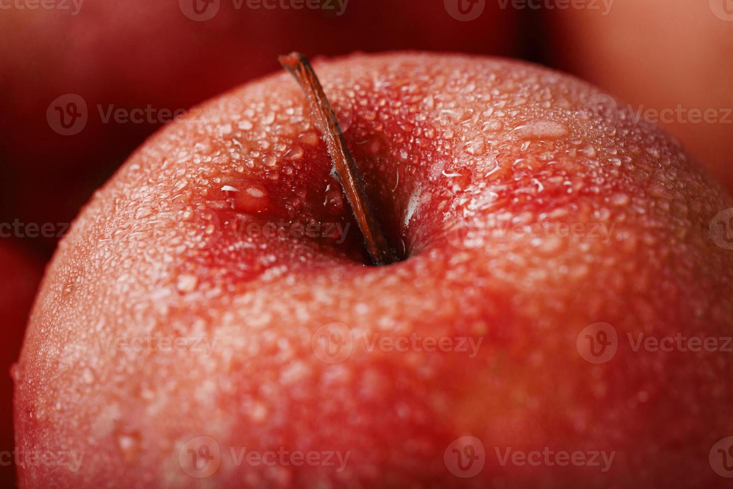 fruta madura de una manzana roja en primer plano con gotas de rocío. foto