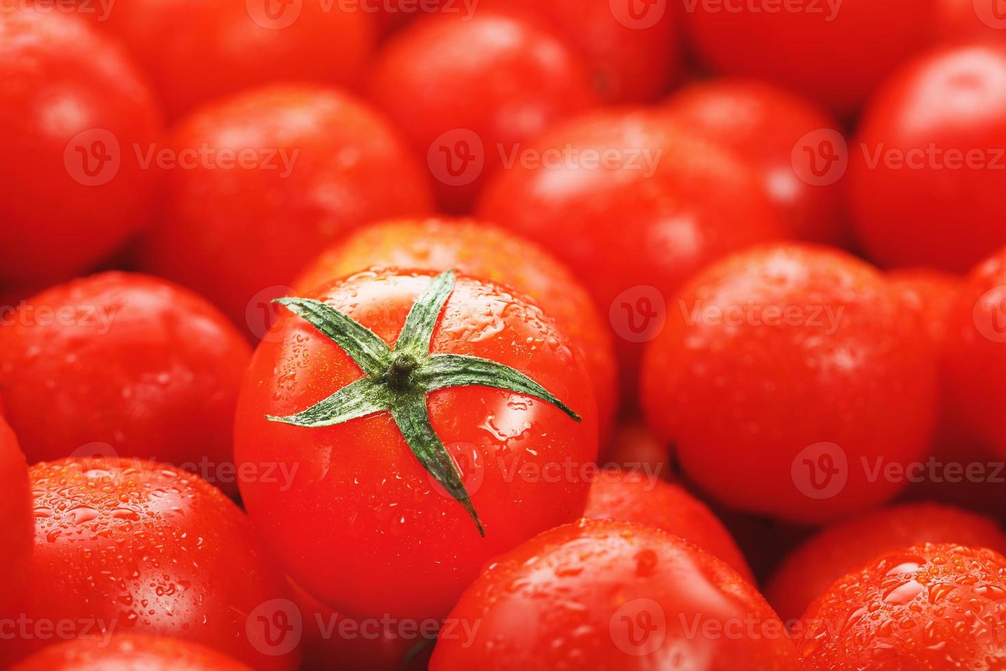 Lots of fresh ripe tomatoes with drops of dew. Close-up background with texture of red hearts with green tails. Fresh cherry tomatoes with green leaves. Background red tomatoes photo