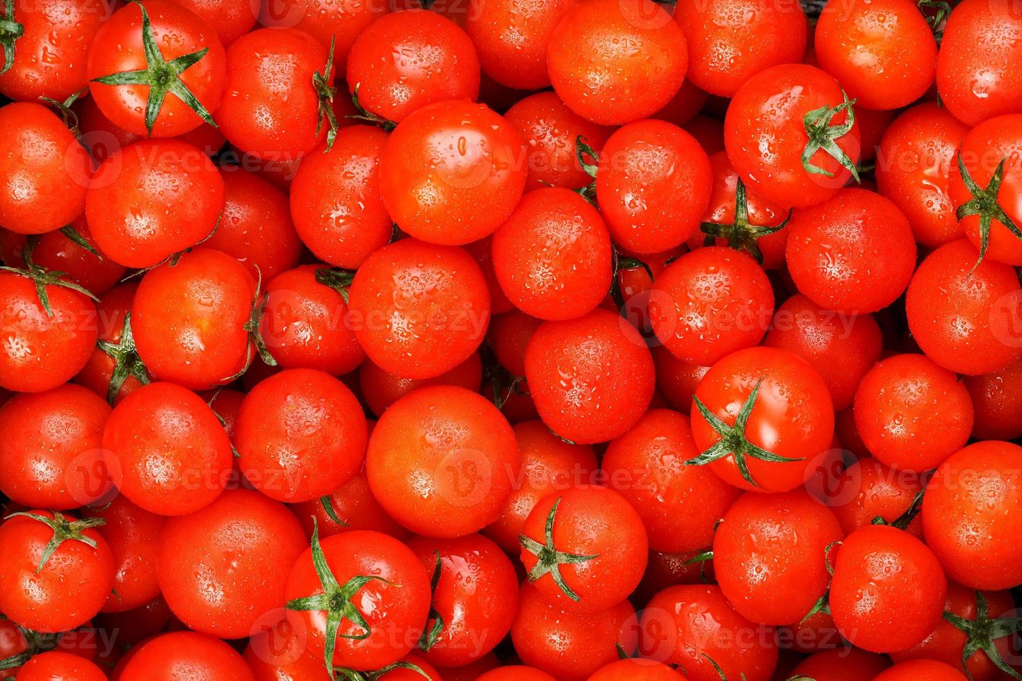 Lots of fresh ripe tomatoes with drops of dew. Close-up background with texture of red hearts with green tails. Fresh cherry tomatoes with green leaves. Background red tomatoes photo