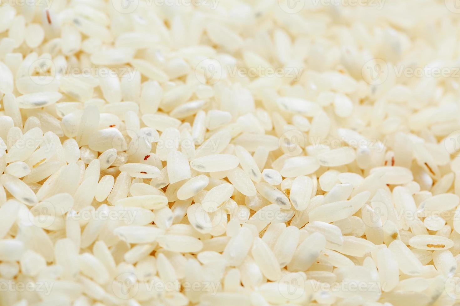 Rice and Money stock photo. Image of background, closeup - 79238502