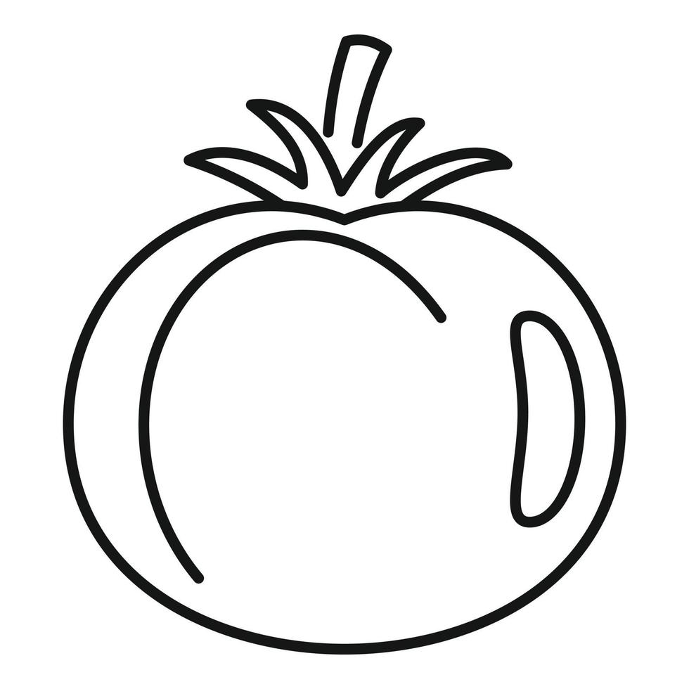 icono de comida de tomate, estilo de esquema vector
