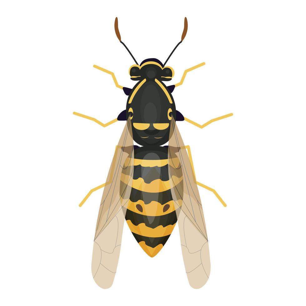 Wasp insect, bumble bee top view in cartoon style, realistic bug Isolated clip art on white background. Vector illustration