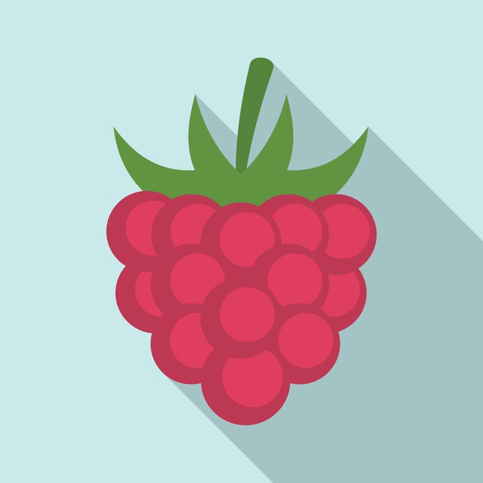 icono de frambuesa de fruta, estilo plano vector