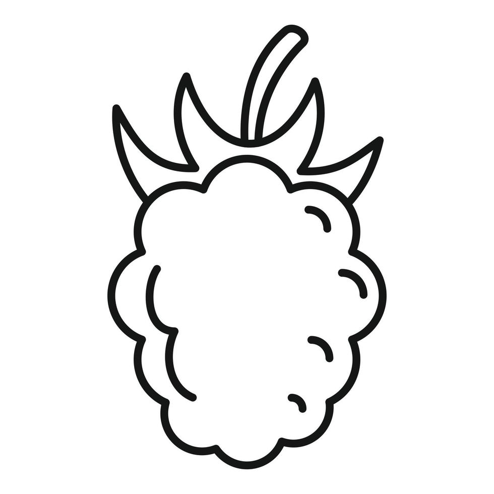 Fresh raspberry icon, outline style vector