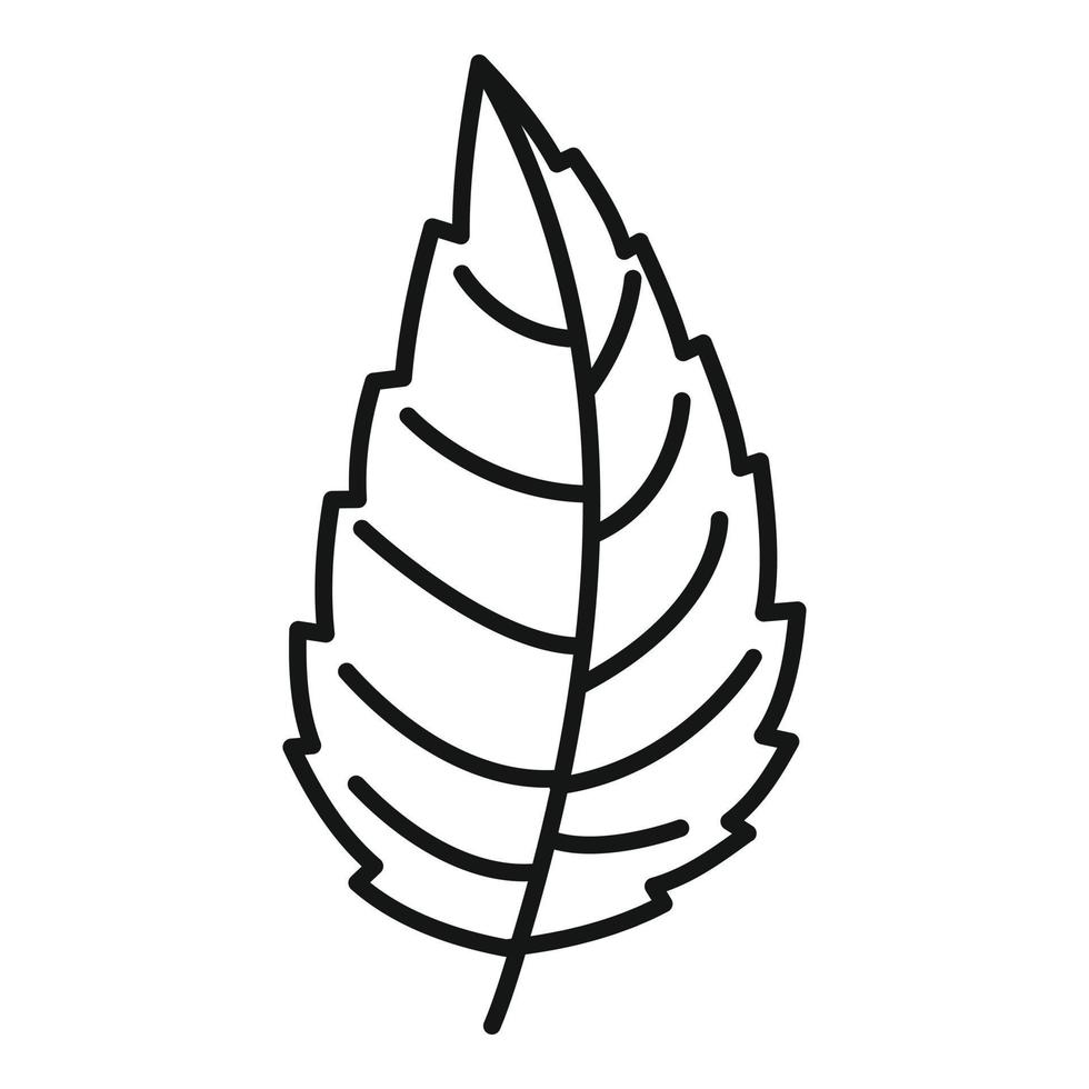 icono de hoja de menta natural, estilo de esquema vector