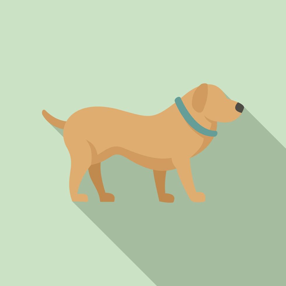 icono de entrenamiento de perros en casa, tipo plano vector