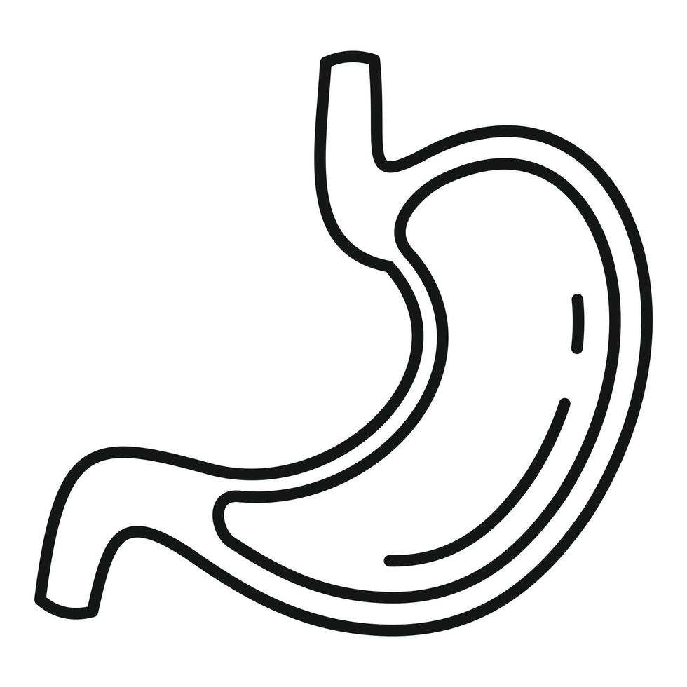 Stomach section icon, outline style vector