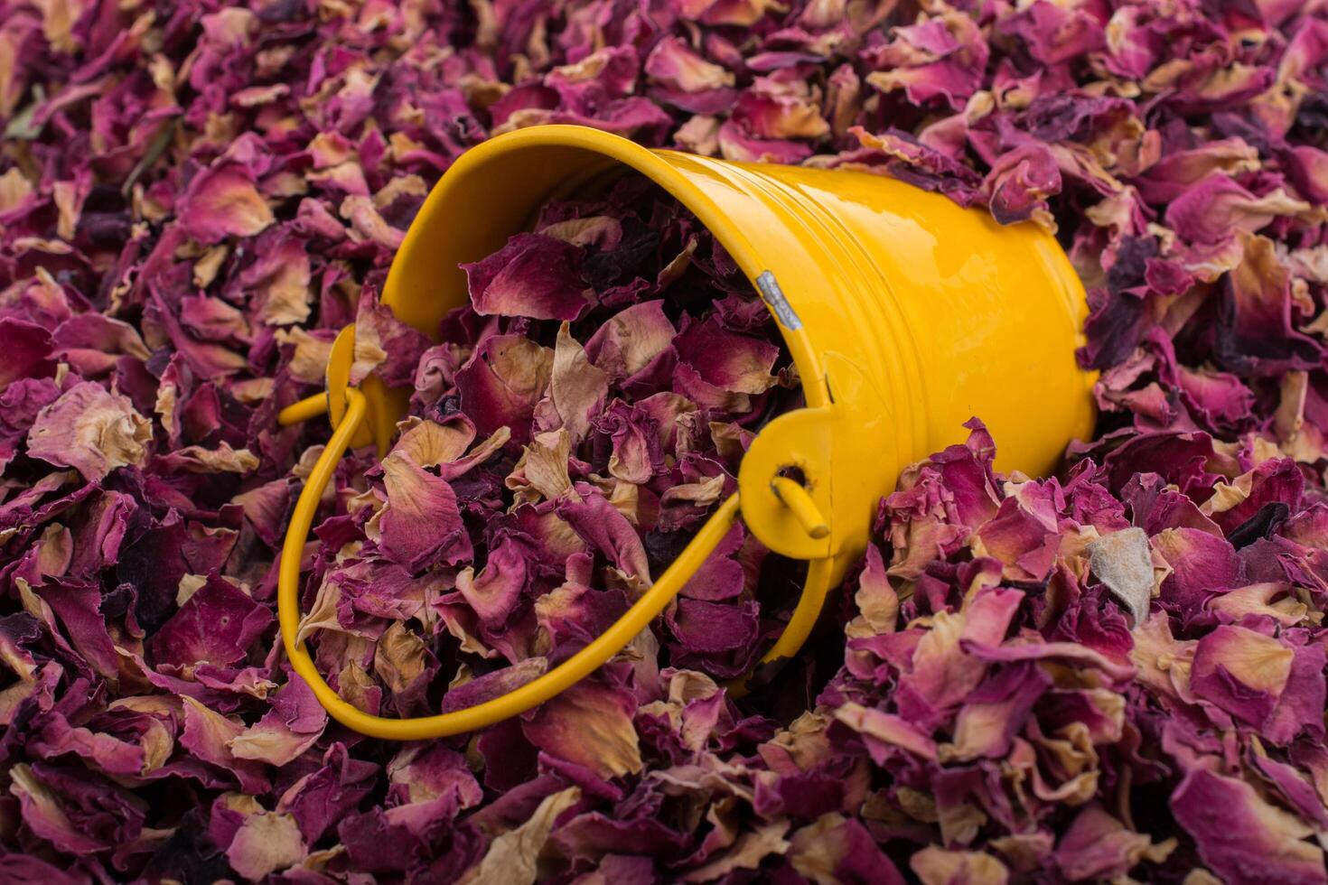 Rose Bucket Stock Photos, Images and Backgrounds for Free Download