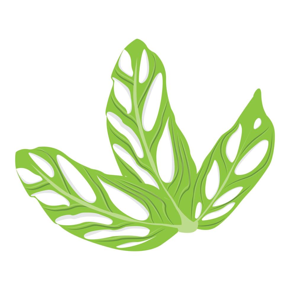 logotipo de hoja de monstera adansonii, vector de planta verde, vector de árbol, ilustración de hoja rara