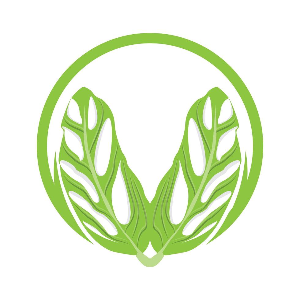 logotipo de hoja de monstera adansonii, vector de planta verde, vector de árbol, ilustración de hoja rara