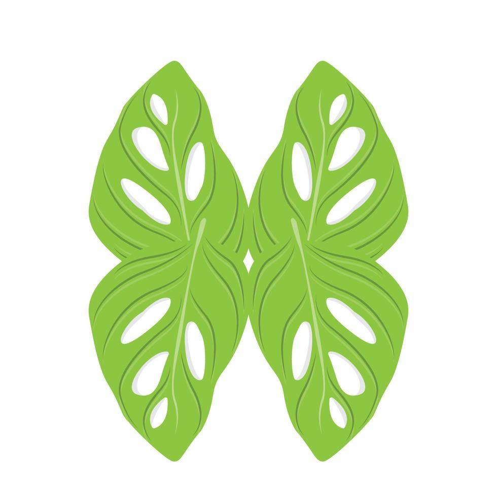 Monstera adansonii Leaf Logo, Green Plant Vector, Tree Vector, Rare Leaf Illustration vector
