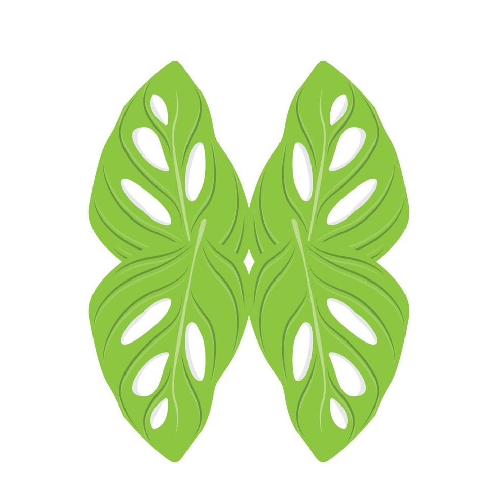 logotipo de hoja de monstera adansonii, vector de planta verde, vector de árbol, ilustración de hoja rara