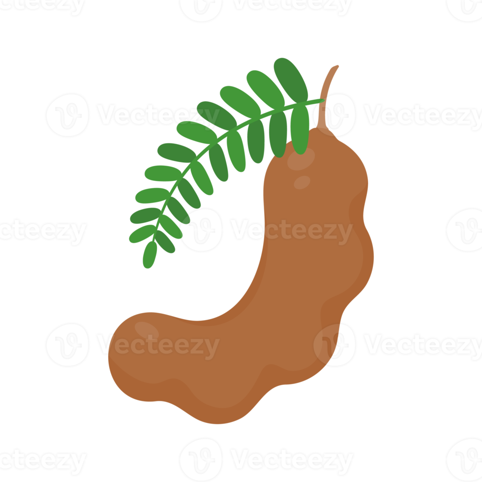 süße Tamarinde. eine gesunde Frucht, die reich an Ballaststoffen ist. helfen dem Verdauungssystem für Vegetarier png