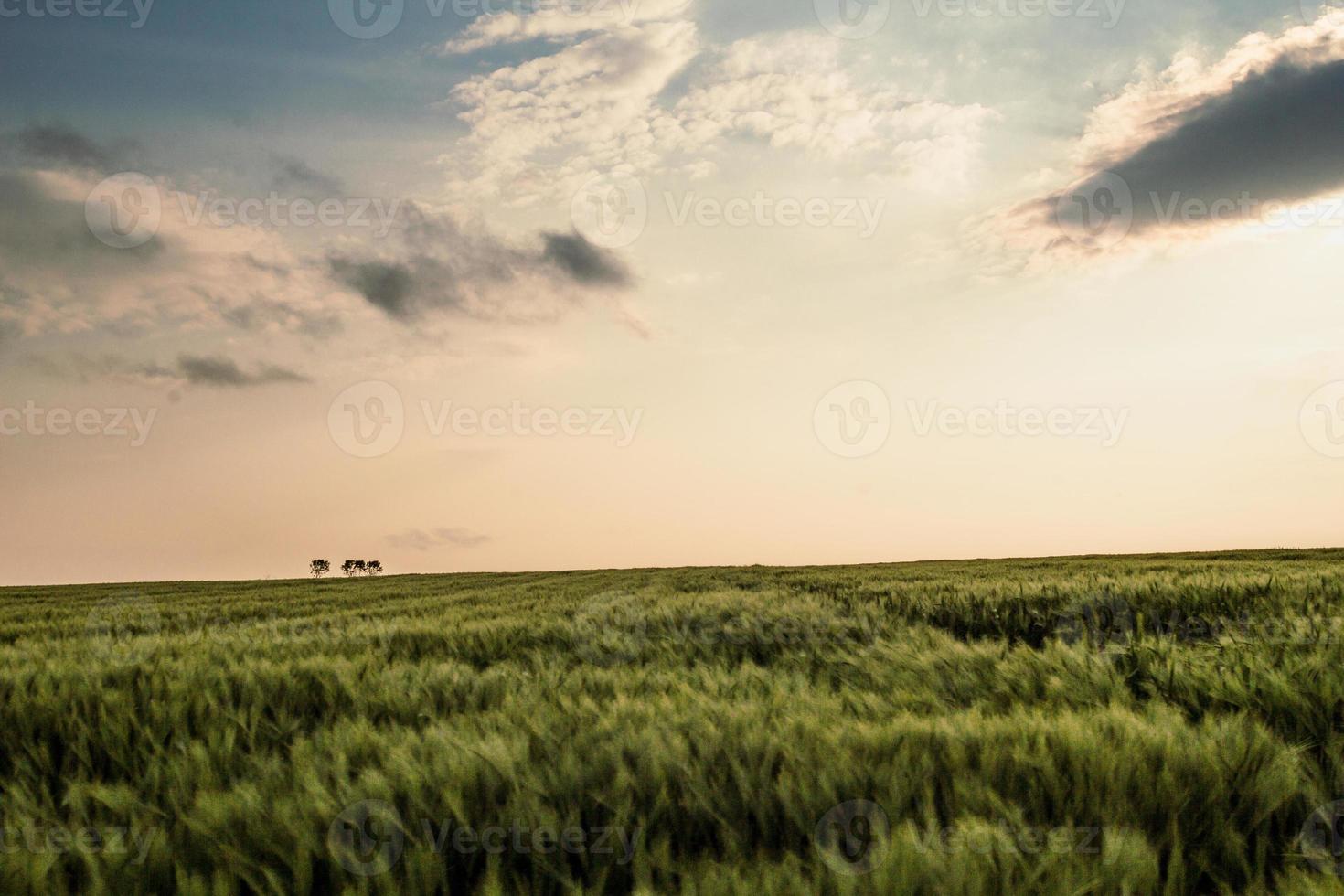 foto de paisaje de pradera