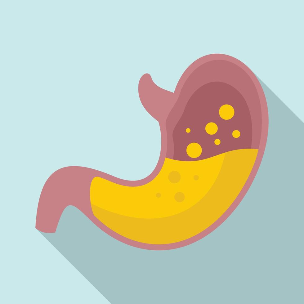 Stomach icon, flat style vector