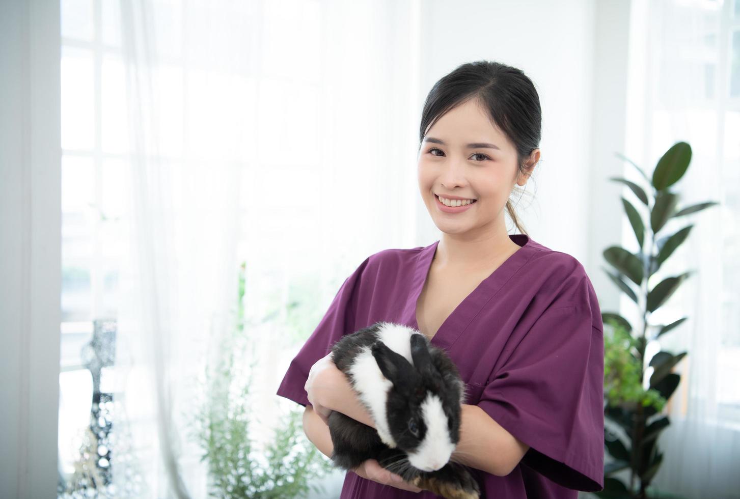 Veterinarian treating sick rabbits He is giving the young bunnies the attention they need to be well photo