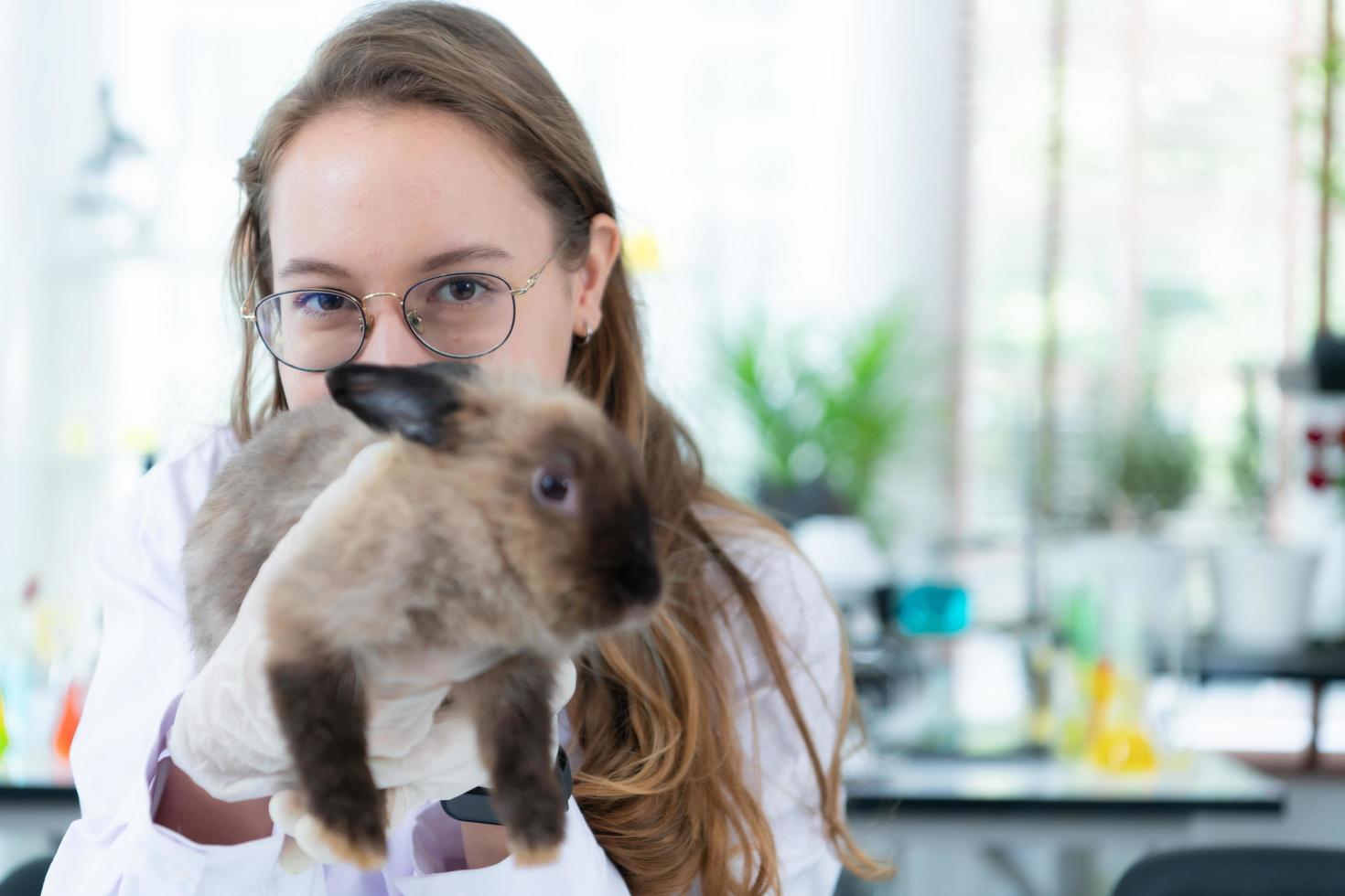 veterinario que trata conejos enfermos le está dando a los conejitos jóvenes la atención que necesitan para estar bien foto