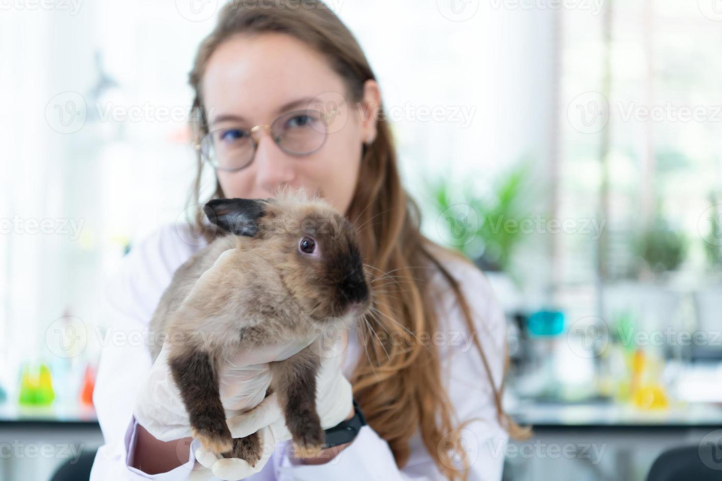 Veterinarian treating sick rabbits He is giving the young bunnies the
