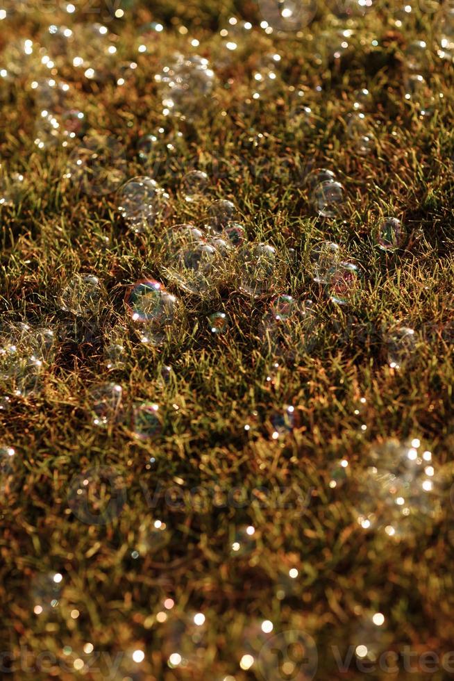 soap bubbles on the grass. selective focus. photo