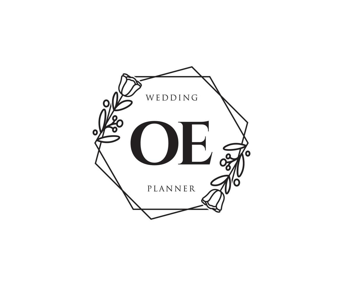 logotipo femenino inicial oe. utilizable para logotipos de naturaleza, salón, spa, cosmética y belleza. elemento de plantilla de diseño de logotipo de vector plano.