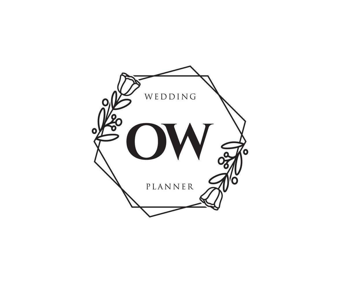 Initial OW feminine logo. Usable for Nature, Salon, Spa, Cosmetic and Beauty Logos. Flat Vector Logo Design Template Element.