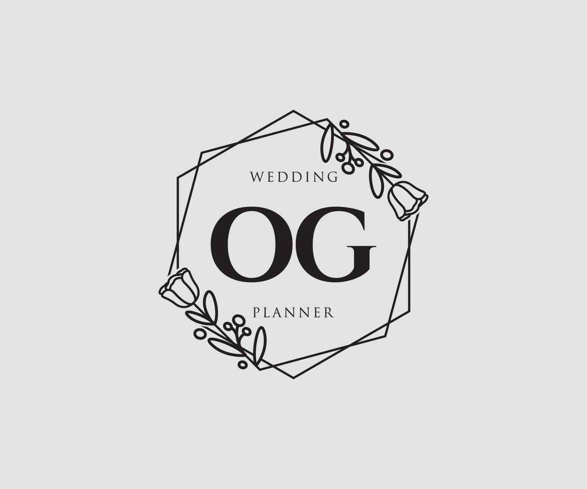 Initial OG feminine logo. Usable for Nature, Salon, Spa, Cosmetic and Beauty Logos. Flat Vector Logo Design Template Element.