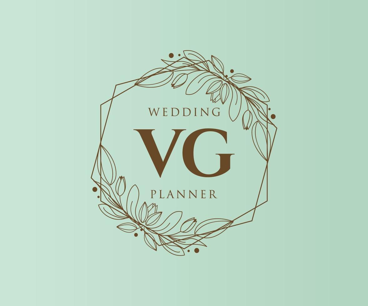 colección de logotipos de monograma de boda con letras iniciales vg, plantillas florales y minimalistas modernas dibujadas a mano para tarjetas de invitación, guardar la fecha, identidad elegante para restaurante, boutique, café en vector