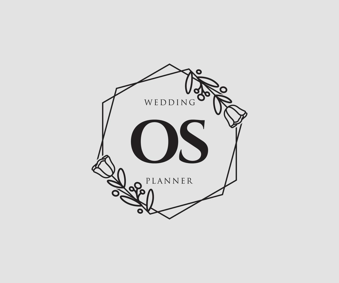 Initial OS feminine logo. Usable for Nature, Salon, Spa, Cosmetic and Beauty Logos. Flat Vector Logo Design Template Element.