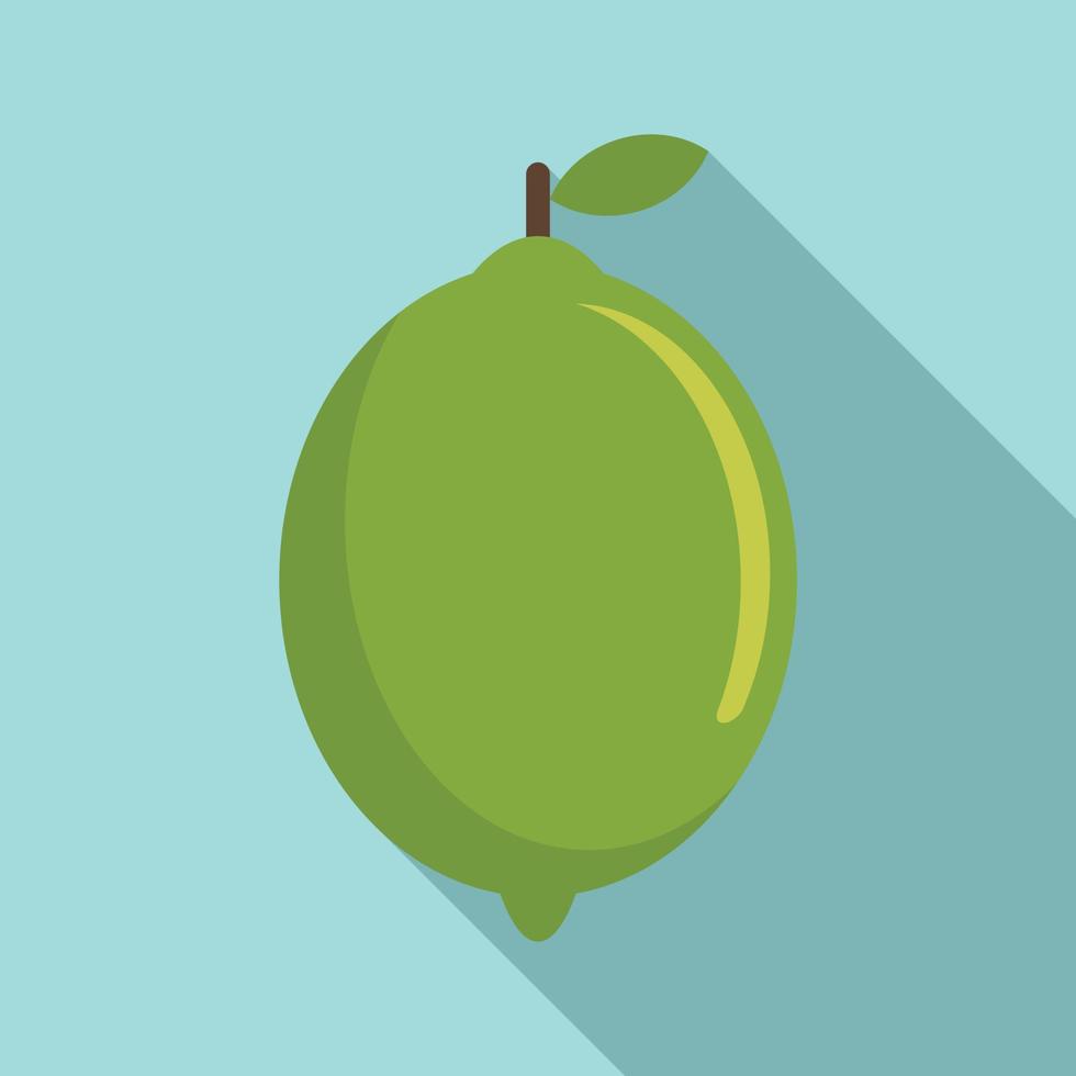 Lime fruit icon, flat style vector