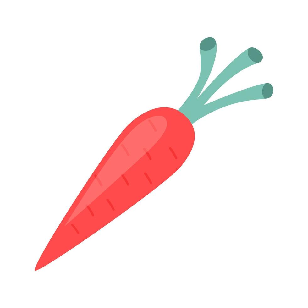 Whole carrot isolated on white background. Flat illustration of ripe vegetable. Design element for labels or package. vector