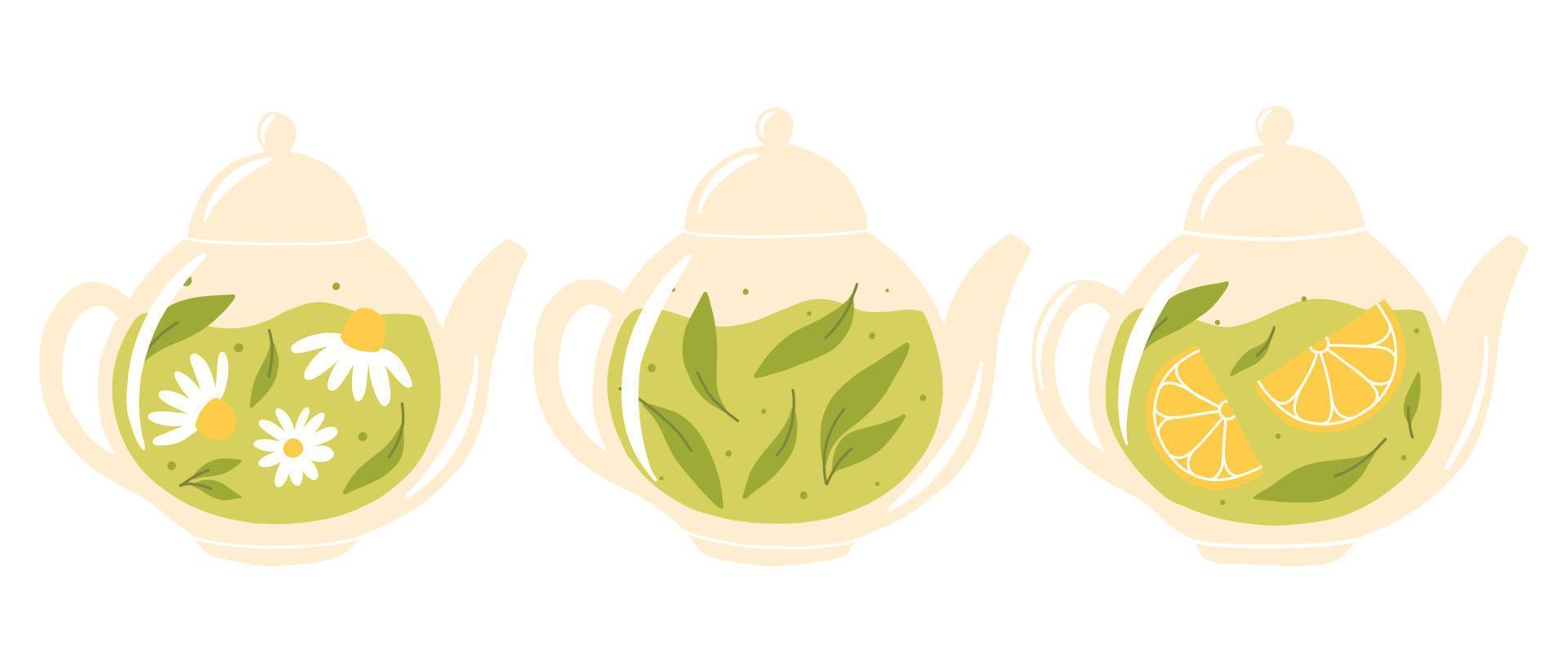 Set of teapots with tea. Collection of teapots with green, herbal and chamomile tea. Vector illustration. Flat style.