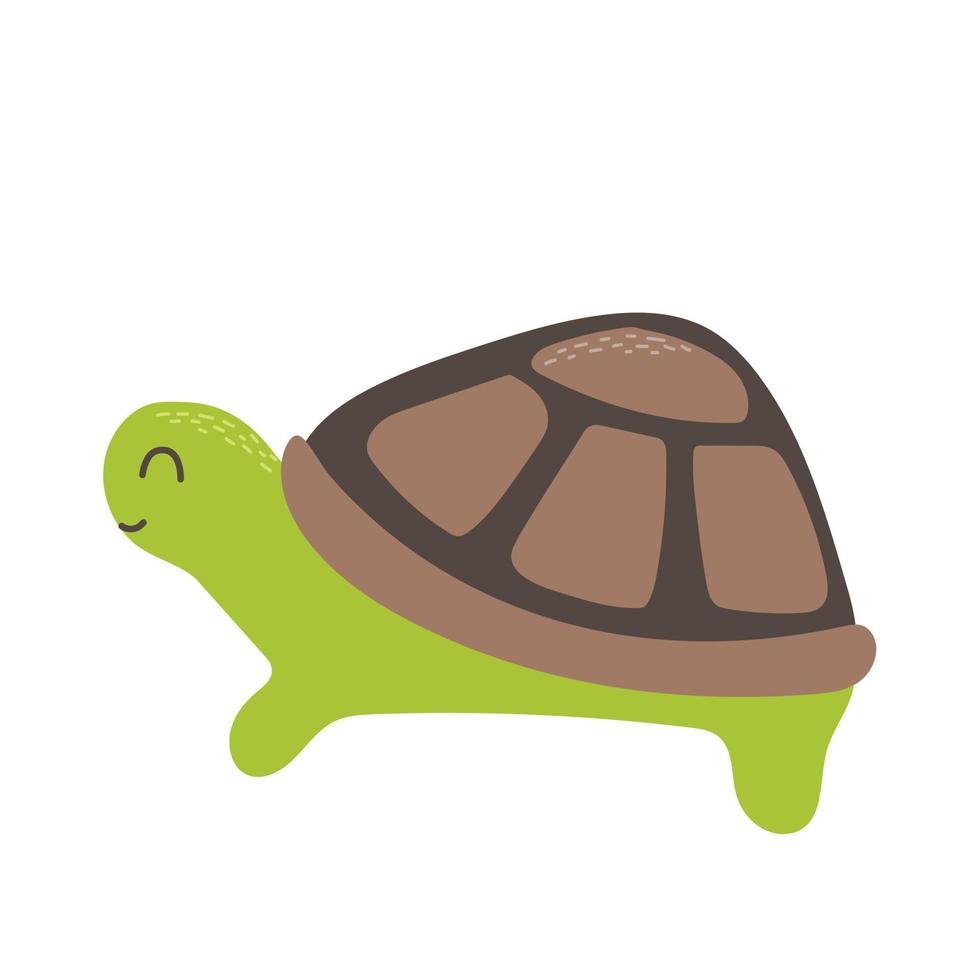 Cute turtle hand drawn in doodle style illustration for children. Vector illustration on white